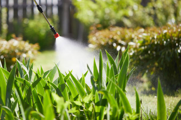 24/7 Emergency Cockroach Control experts in Van, TX