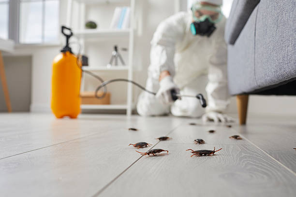 Affordable Cockroach Control solutions in Van, TX